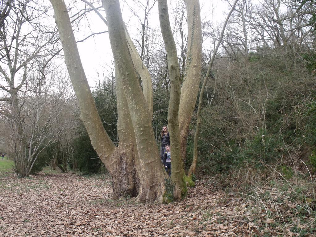 Camping Des Ribieres Confolens Exteriér fotografie